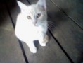 /album/our-animal-pics/picture-492-jpg/